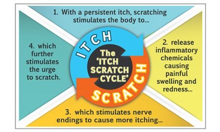 Stop the Itch-Scratch Cycle - Dermoscribe